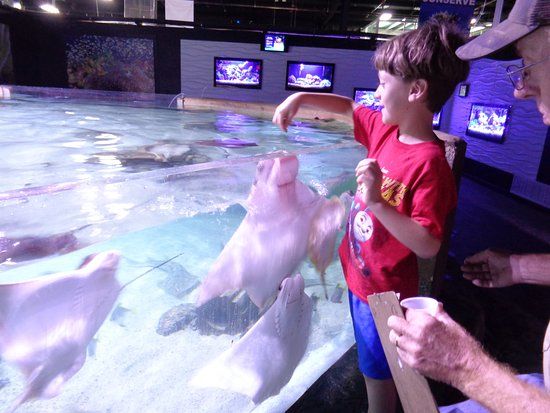 San Antonio Aquarium